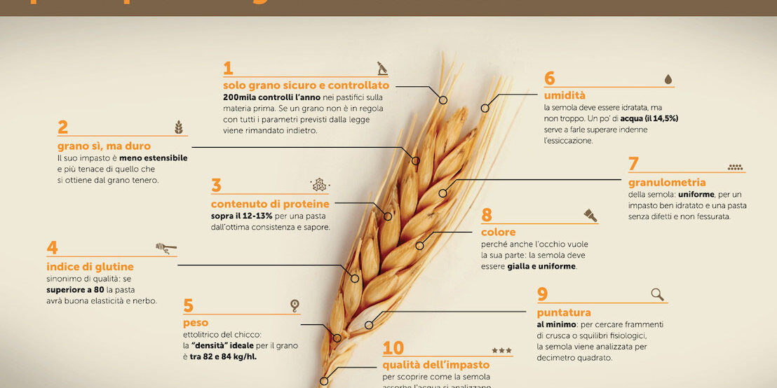 Aidepi Aidepi: ecco l'identikit del grano buono