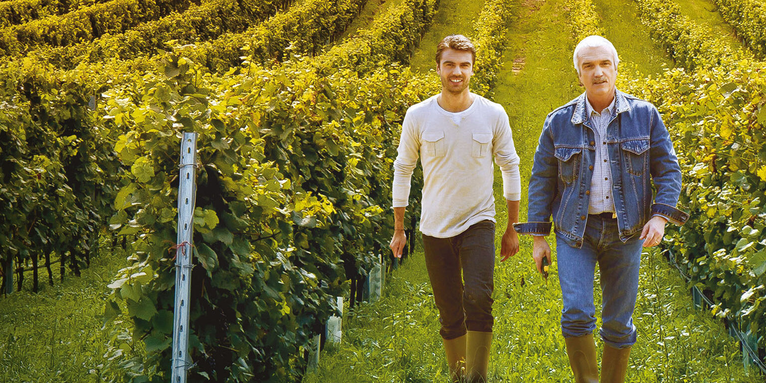 Codice Citra Wine Team