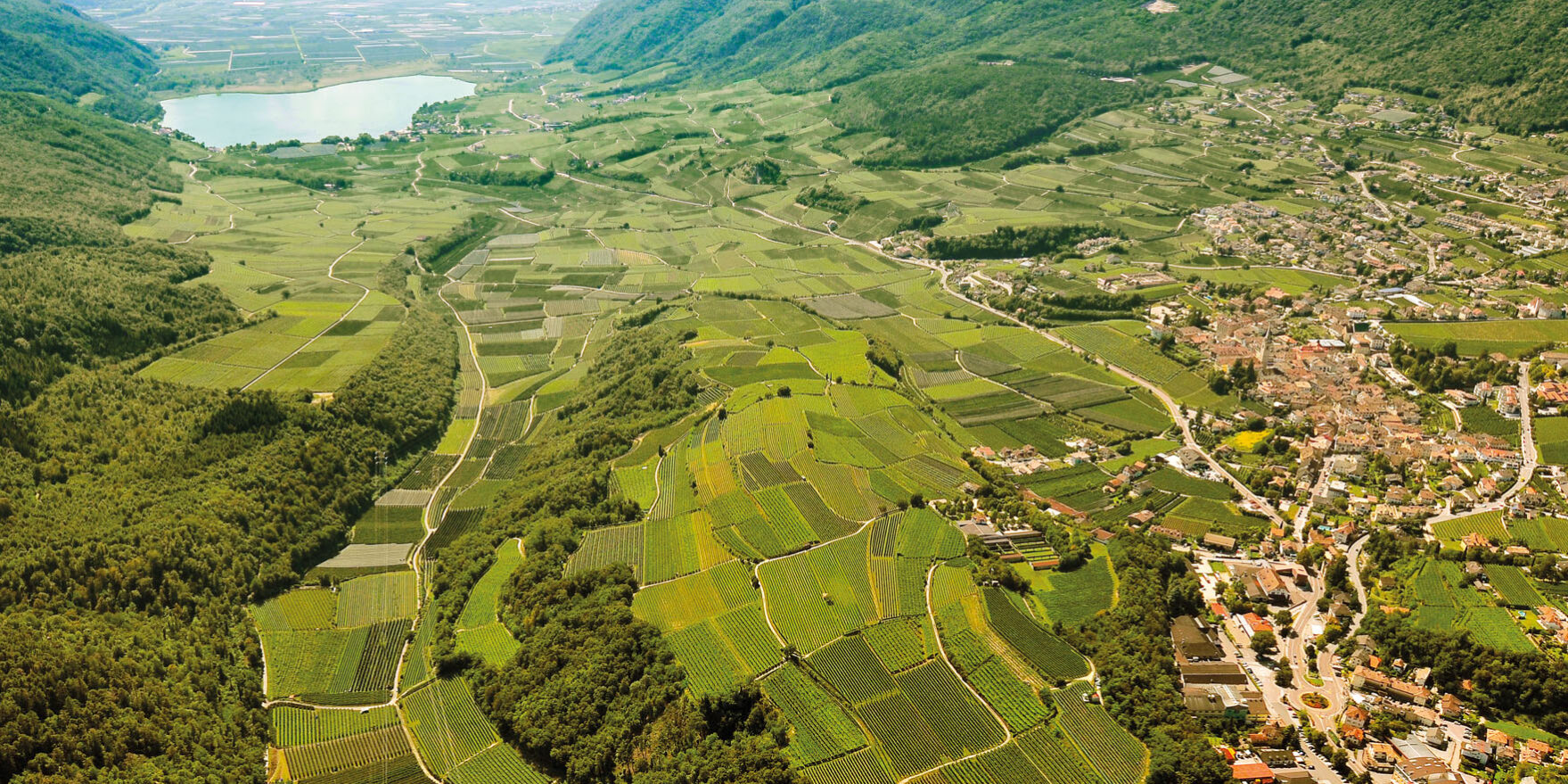 Bollicine sudtirolesi