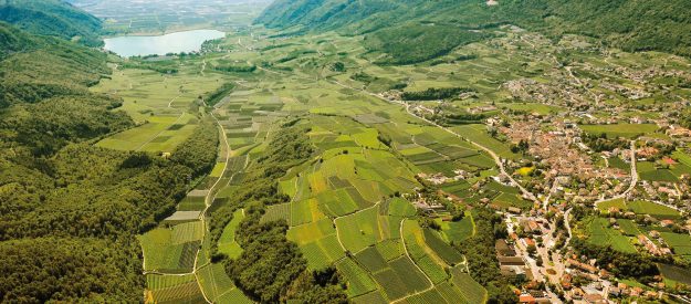 Bollicine sudtirolesi