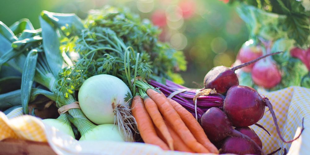 Cibus2018, esposizione di cibi innovativi