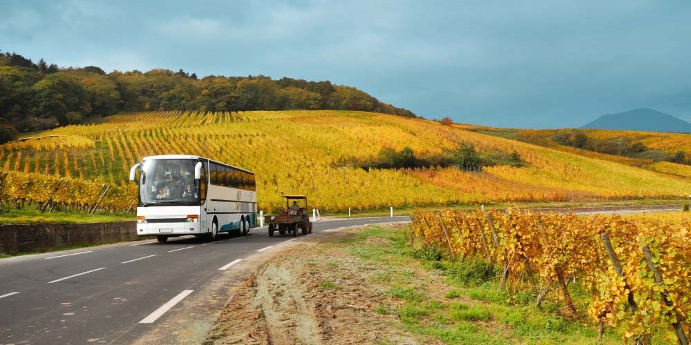Tour bus sulla strada del Franciacorta