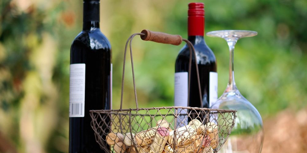 Degustazione Vino Crudo