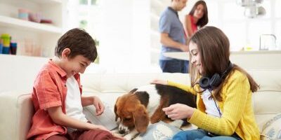 Pet in Italia: animali membri a tutti gli effetti della famiglia