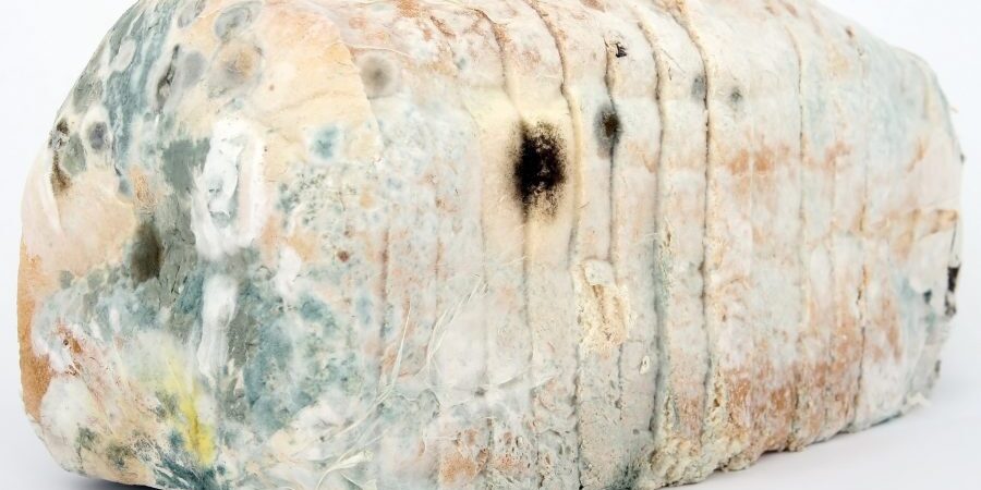 estate-malattie-prevenzione