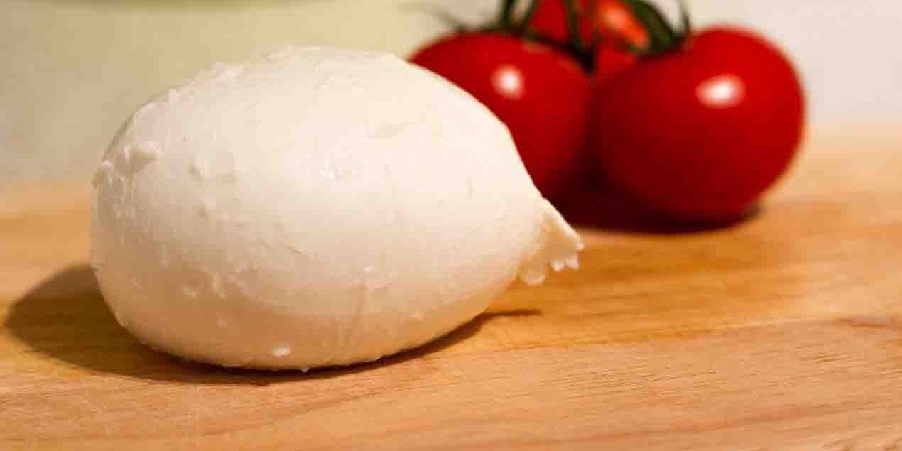 mozzarella-bufala