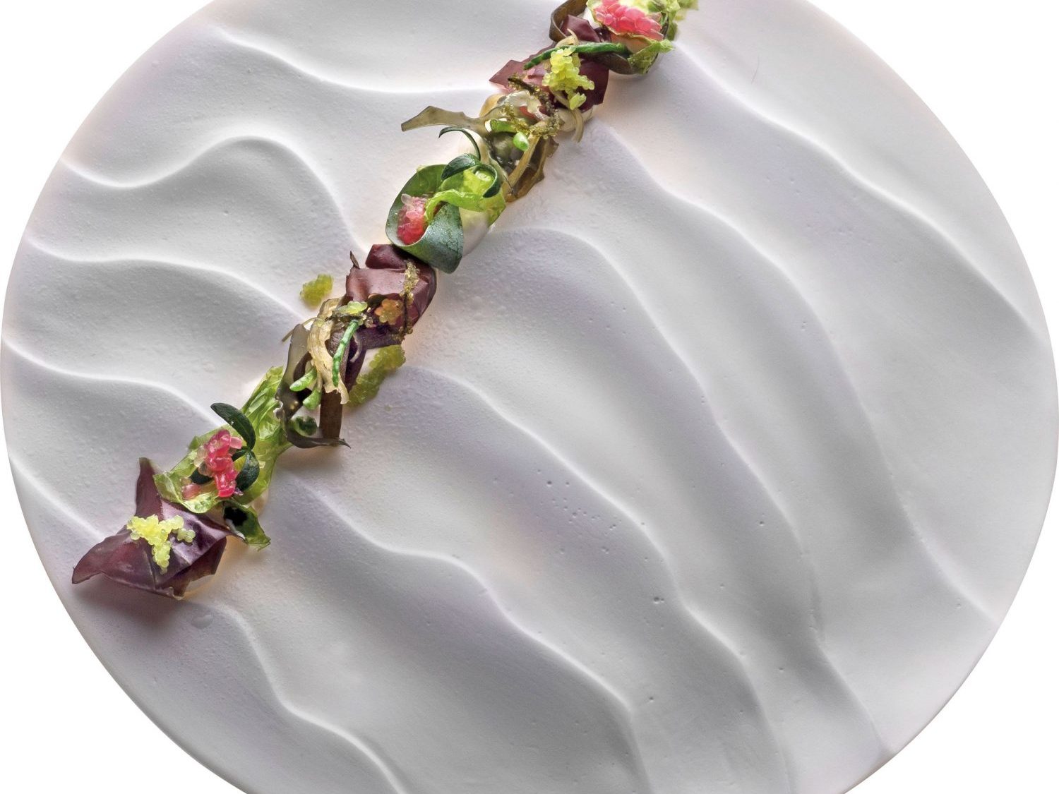 scarello-solo-d-alghe