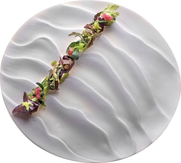 scarello-solo-d-alghe