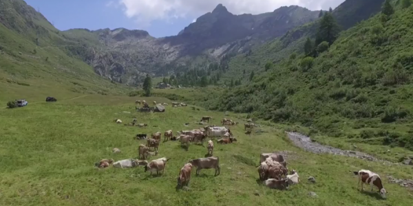 valsassina-valle-dei-formaggi