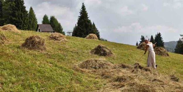 Sutrio_Fasjn la mede