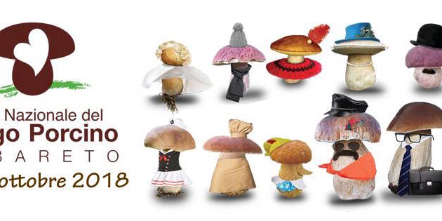 Fiera Nazionale del Fungo Porcino 2018