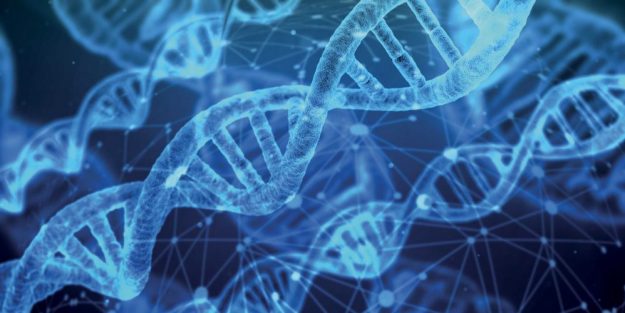 longevity-food longevity food