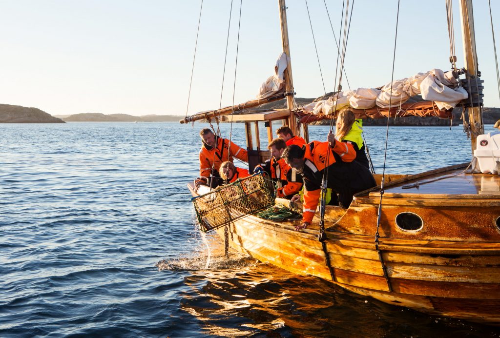 inaugurazione della pesca all'astice in Svezia