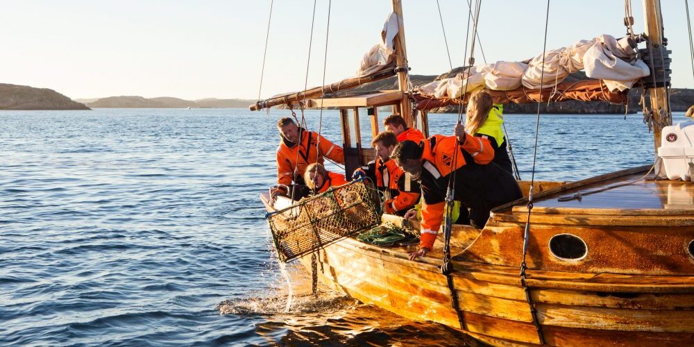 inaugurazione della pesca all'astice in Svezia