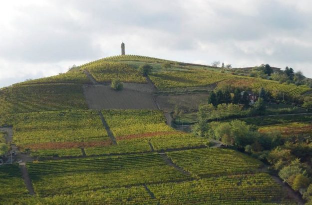 Canelli, città del vino