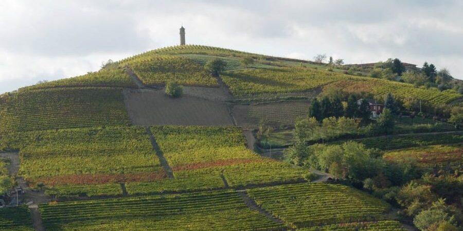 Canelli, città del vino