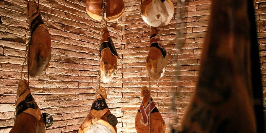 maialumeria maialumeria