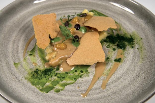 Pasta e fagioli, albicocche e basilico