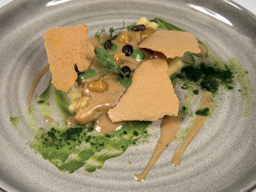 Pasta e fagioli, albicocche e basilico