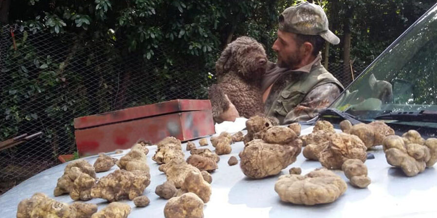 "il tartufo di diamante" a Mauro Greco
