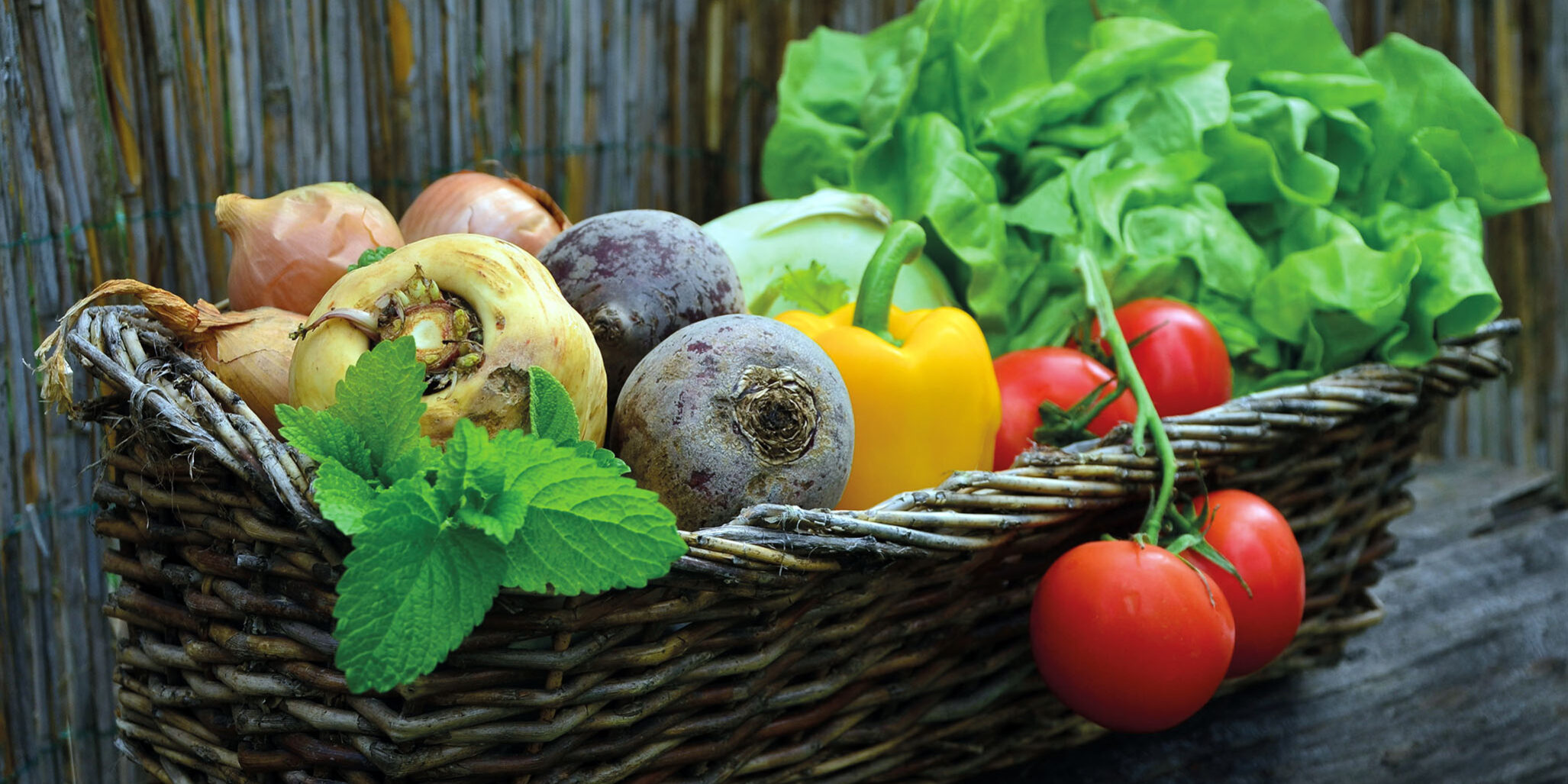 protective food protective food