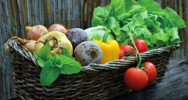 protective food protective food