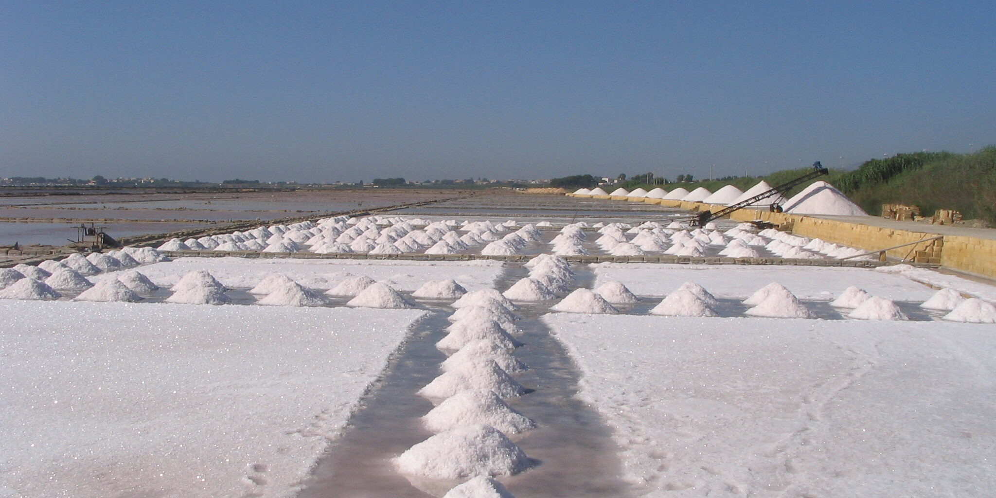 sale italiaino: fra economia e cucina