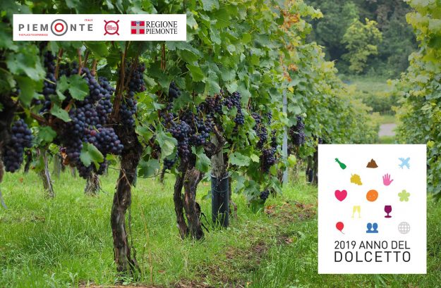 dolcetto eccellenza vinicola 2019