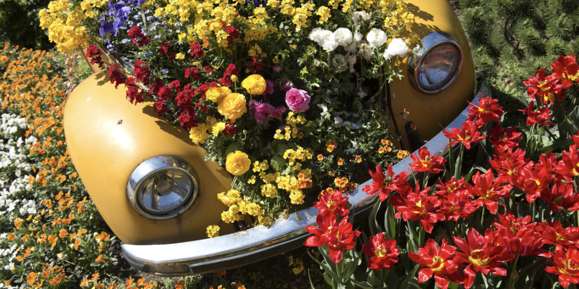 festa della fioritura: Lana e dintorni