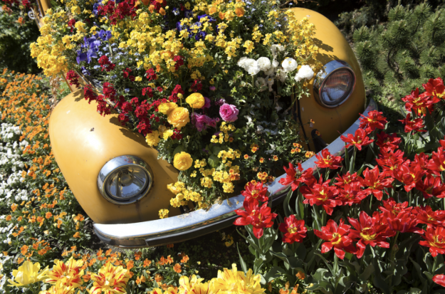 festa della fioritura festa della fioritura: Lana e dintorni