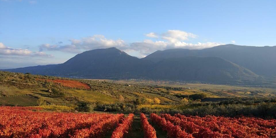 Città europea del Vino 2019: Sannio Falanghina e Matera