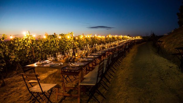 Enoturismo: sempre più italiani