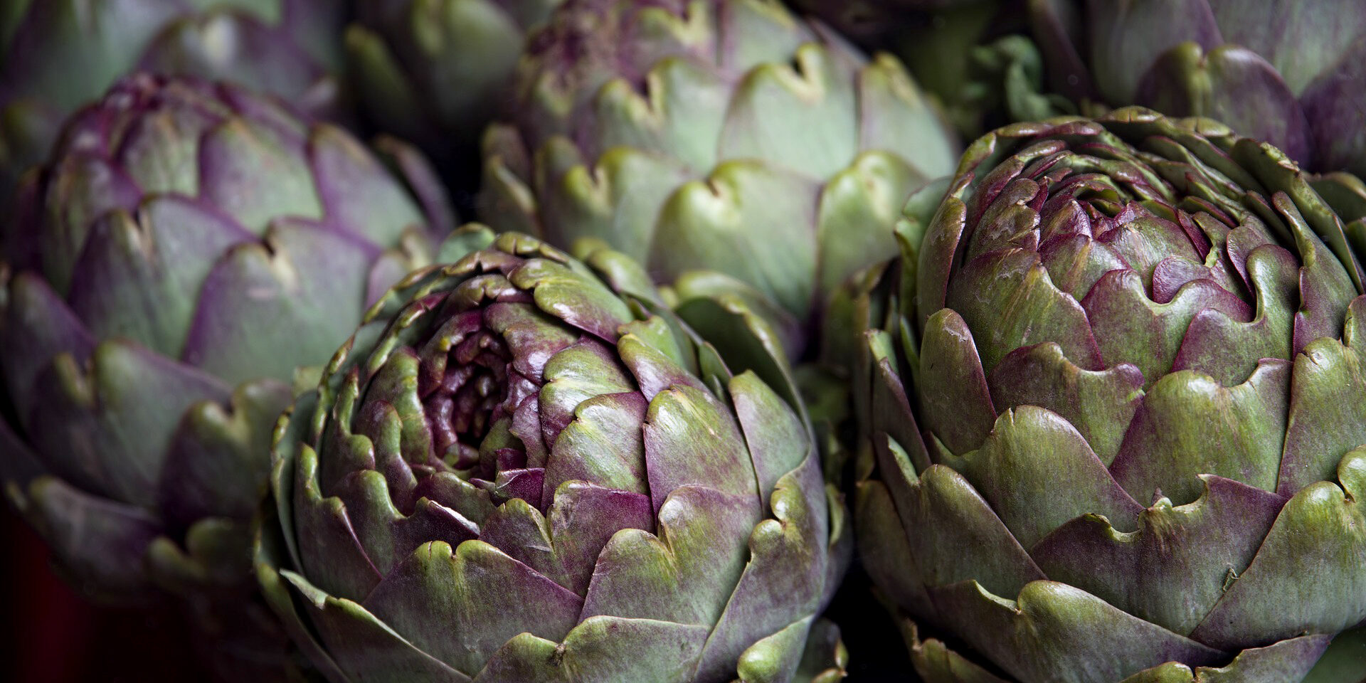 carciofo di paestum igp carciofo di paestum igp 11 edizione