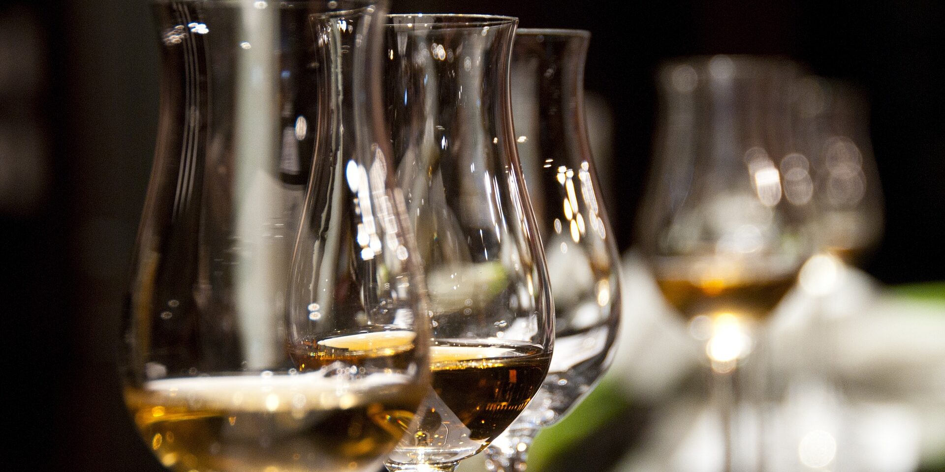 decreto enoturismo quasi attivo