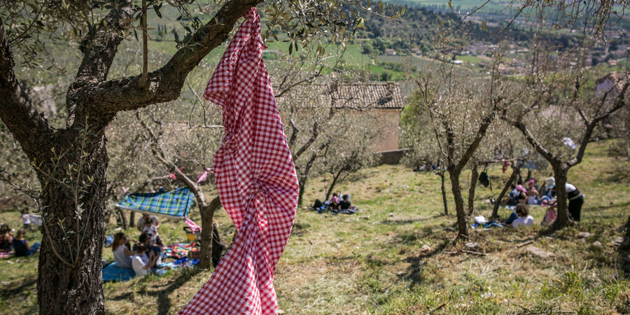 pic nic a trevi, arte, musica, merenda tra gli ulivi