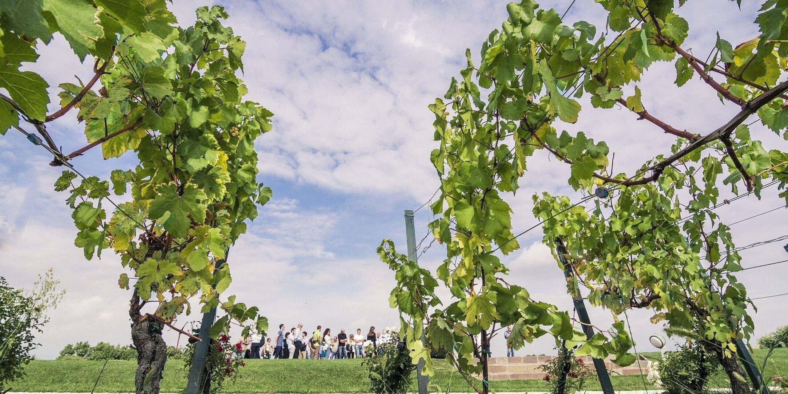 Franciacorta Summer Festival on the road