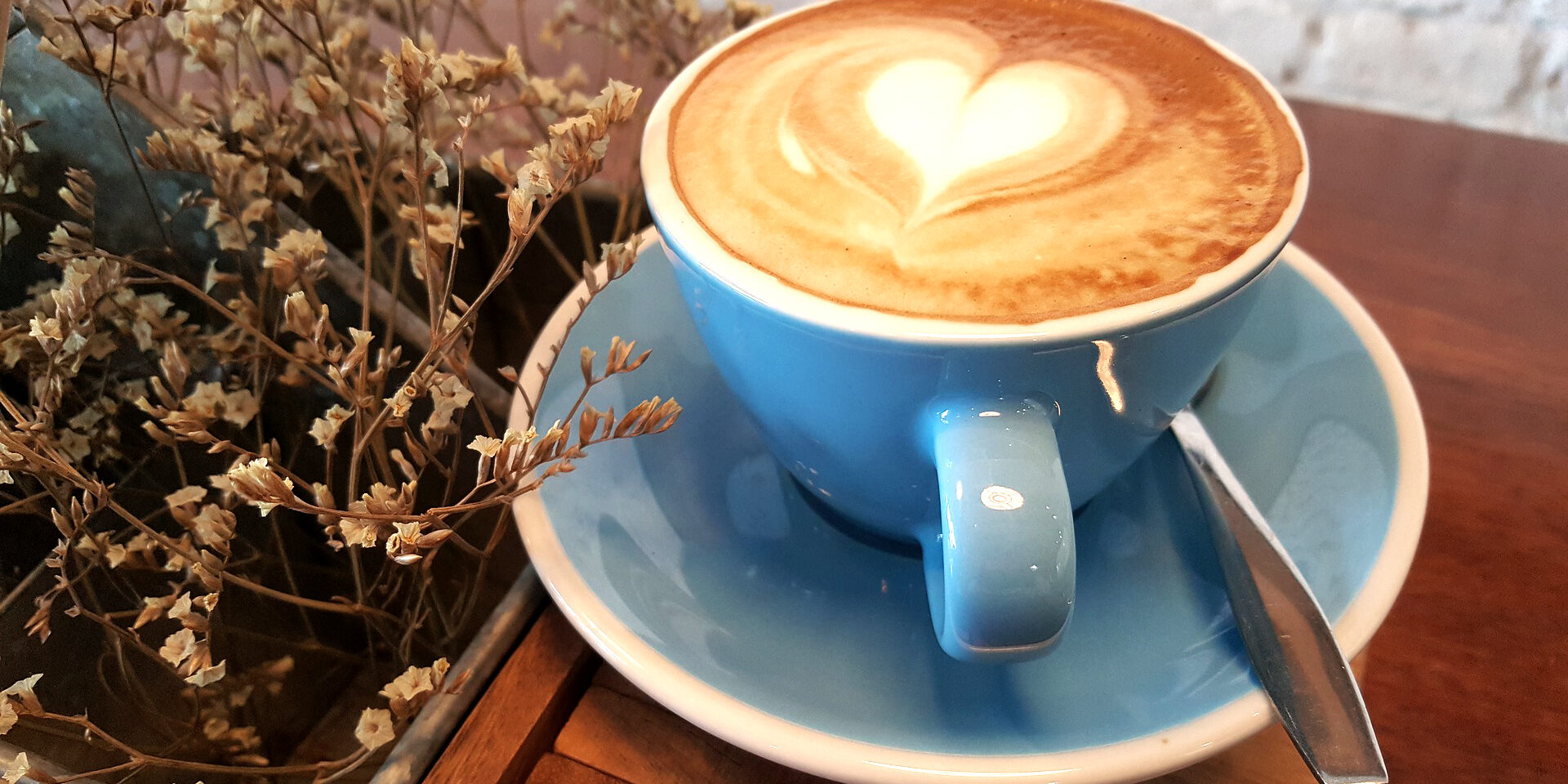 caffè e polifenoli