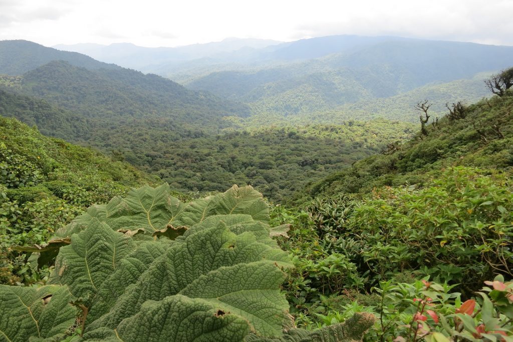 paradisi ecoturistici centroamerica