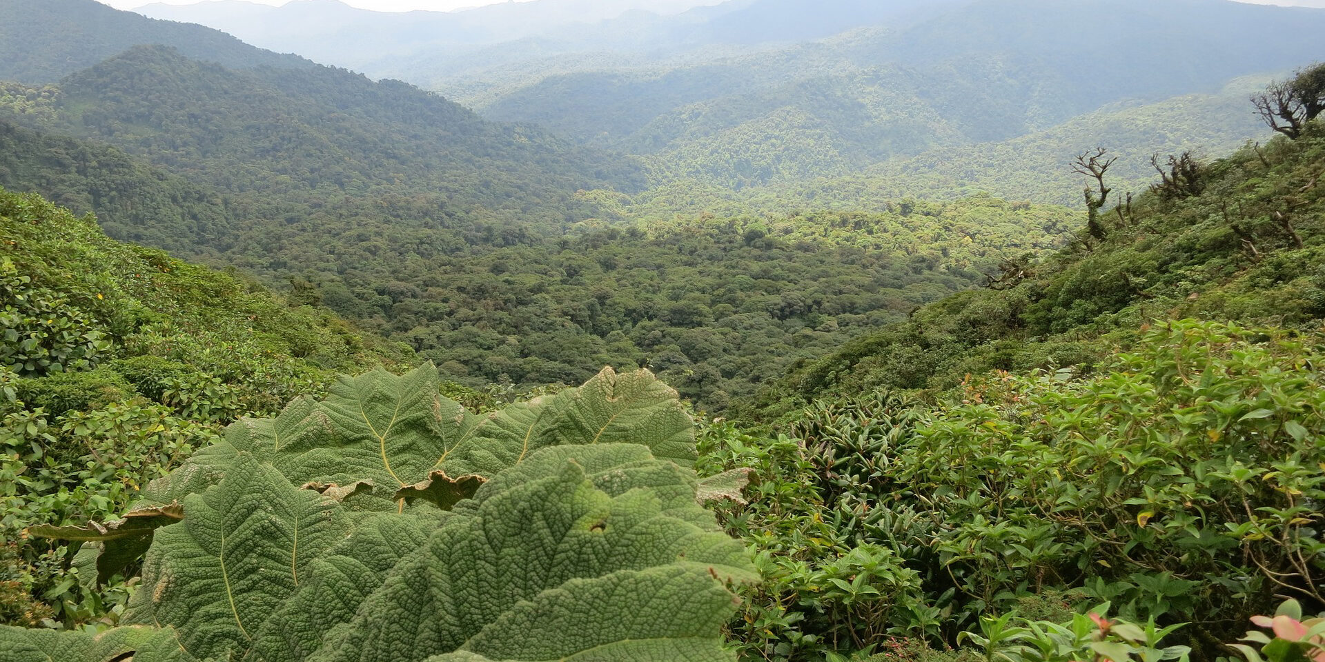 paradisi centroamerica paradisi ecoturistici centroamerica