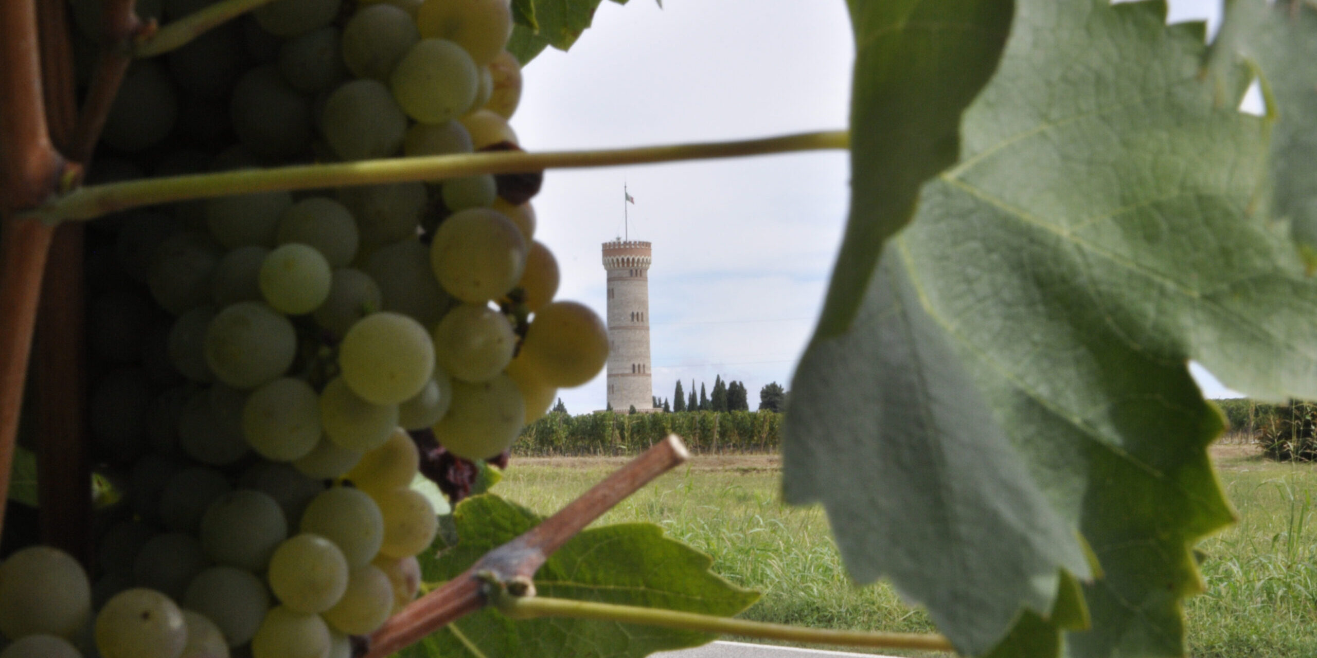 garda garda - san martino della battaglia doc