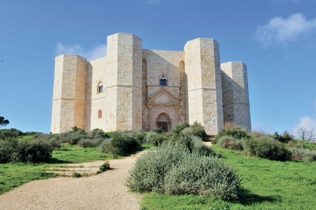 nero di troia di castel del monte