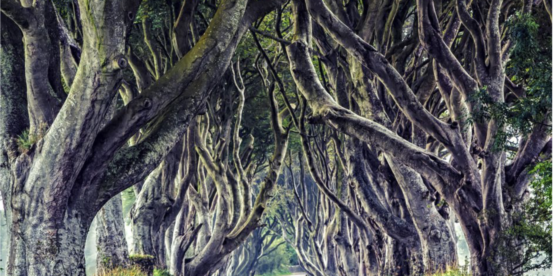 trono di spade 7 location spettacolari