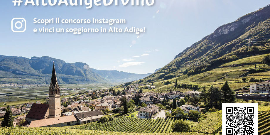 Contest dei vini: #altoadigevino