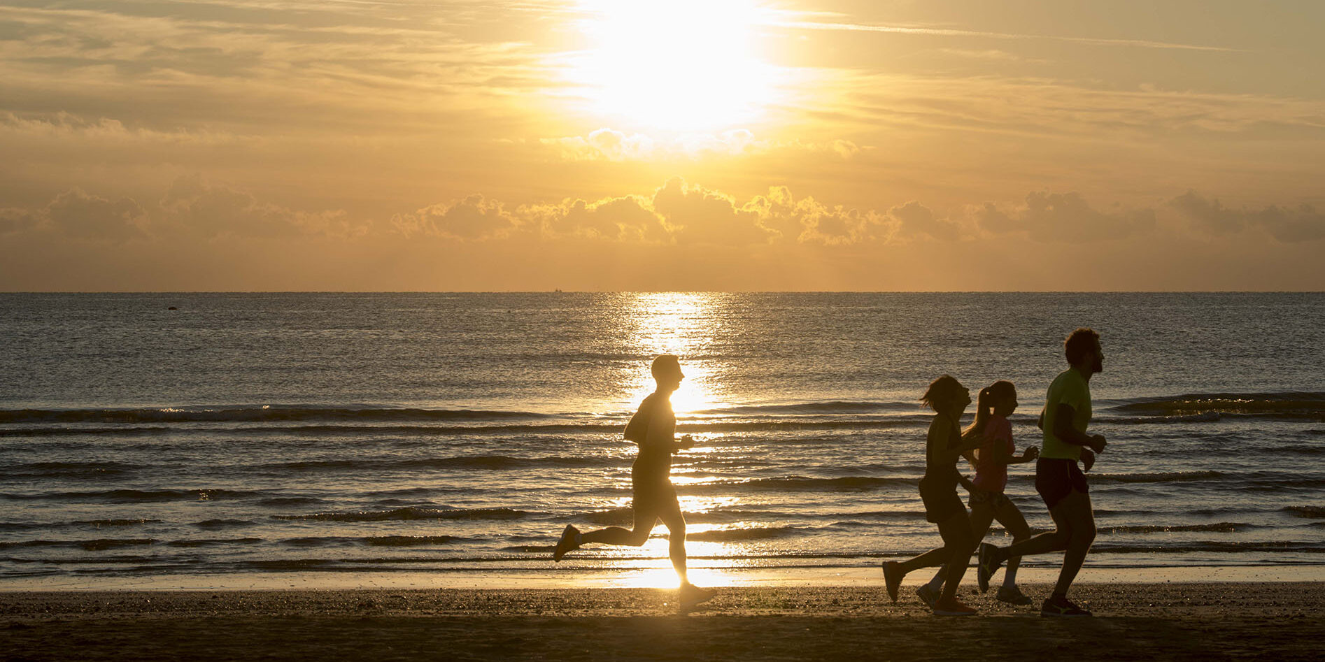 Rimini, tutte le novità 2019