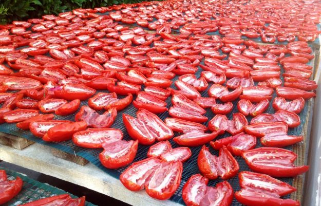 San Marzano Day: 15 luglio -Sarno (SA)