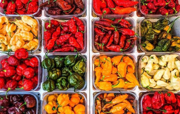 Pikkanapa: al via la sesta edizione