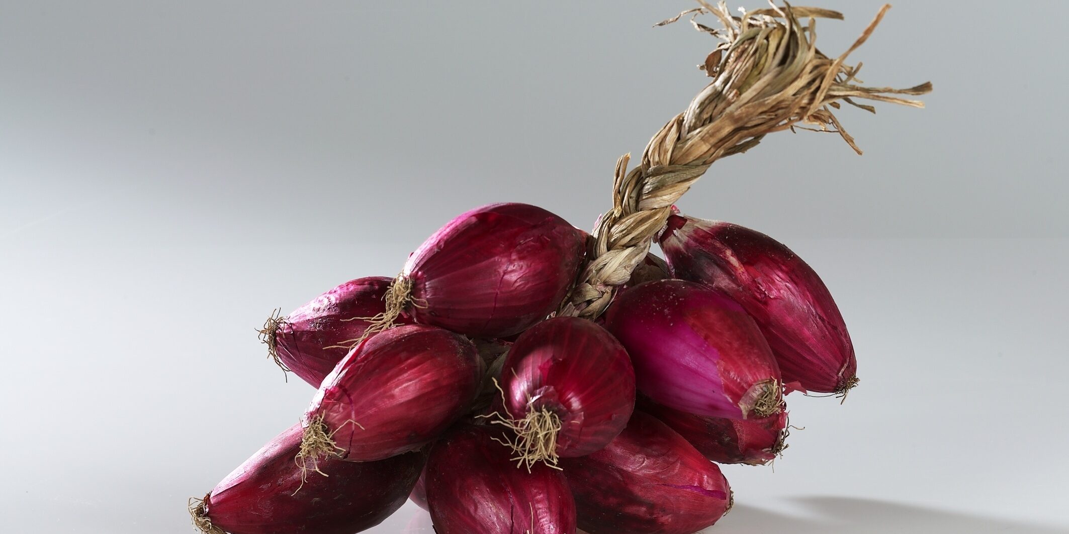 Sua maestà la cipolla