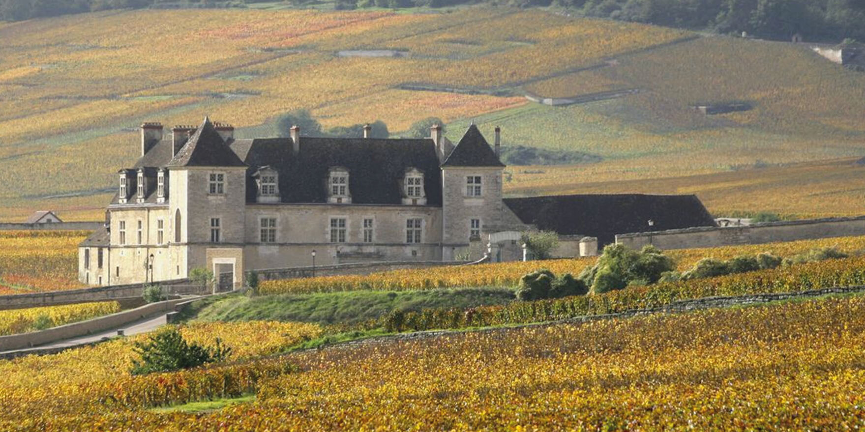 Crus, Clos, Lieux-Dits e Climats