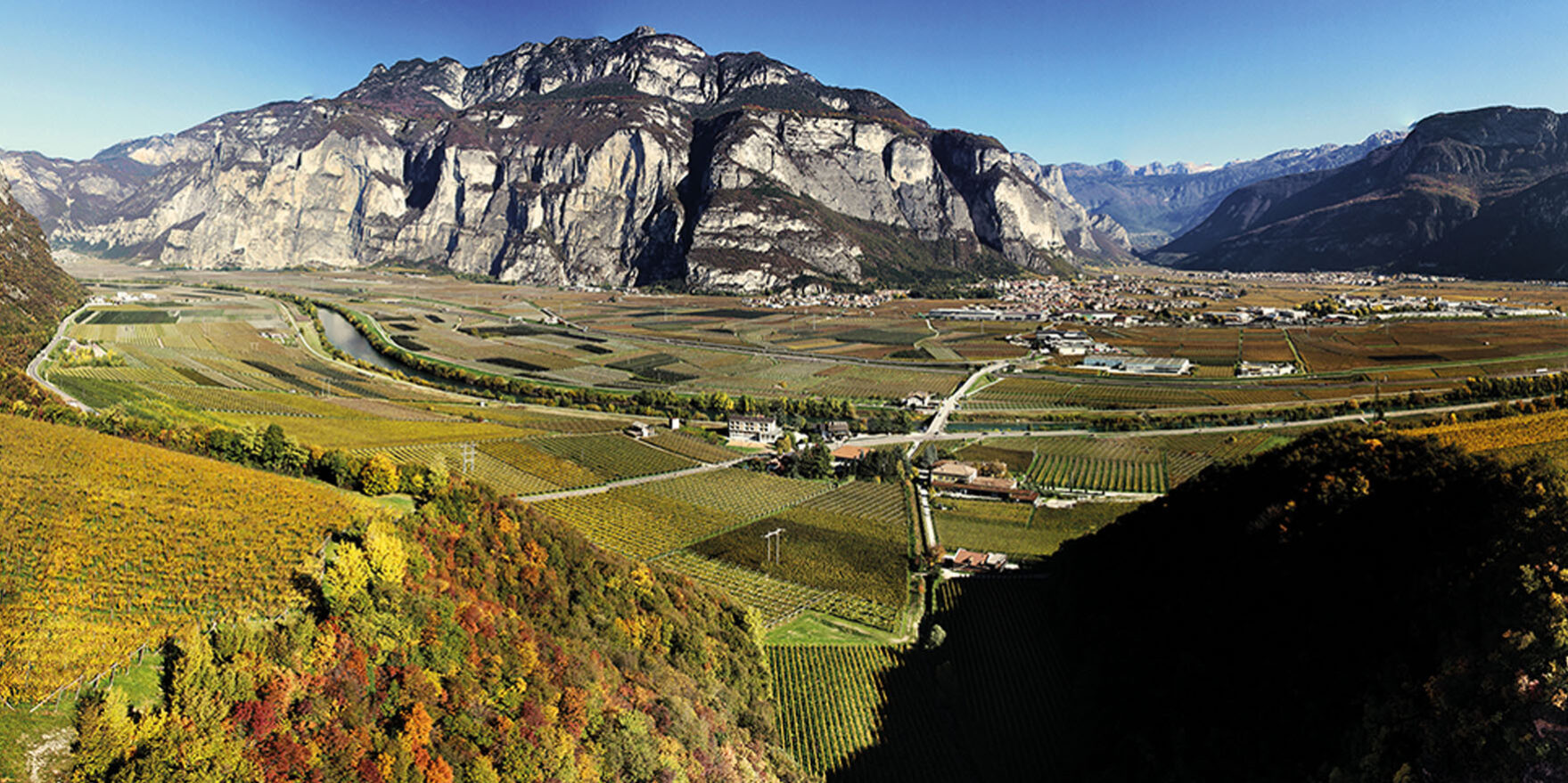 Dalis, rosato del Teroldego