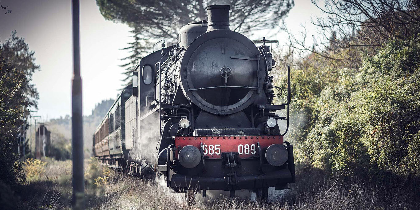 Treno Natura alla scoperta del "Diamante Bianco"
